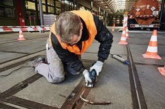 Bosch GOP 55-36 Profesyonel Çok Yönlü Kesici