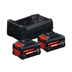 Bosch Expert Akü Şarj Cihazı ve Akü Seti 5.5 Ah 18V